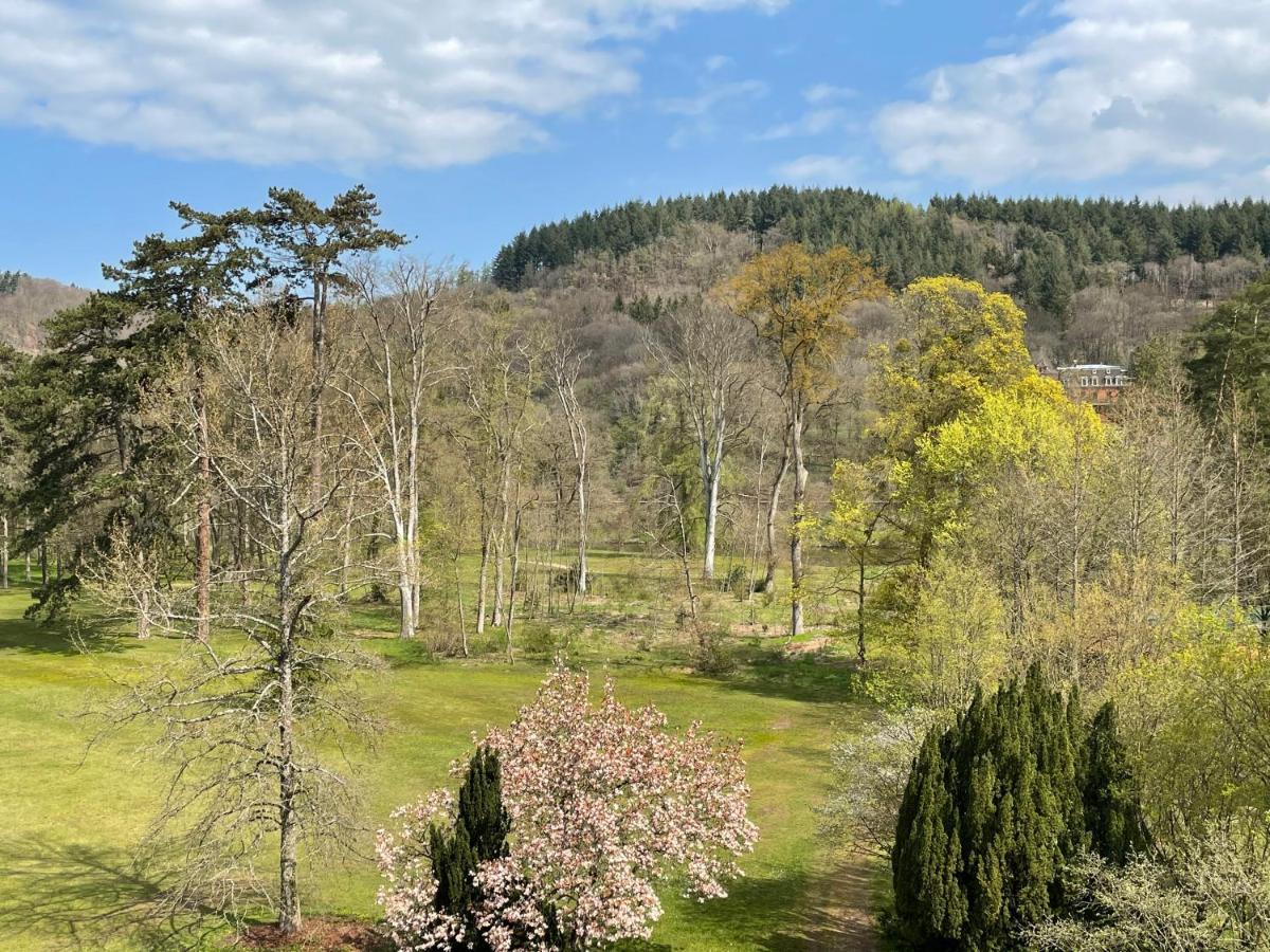 Gastehaus Schloss Saareck Mettlach Buitenkant foto